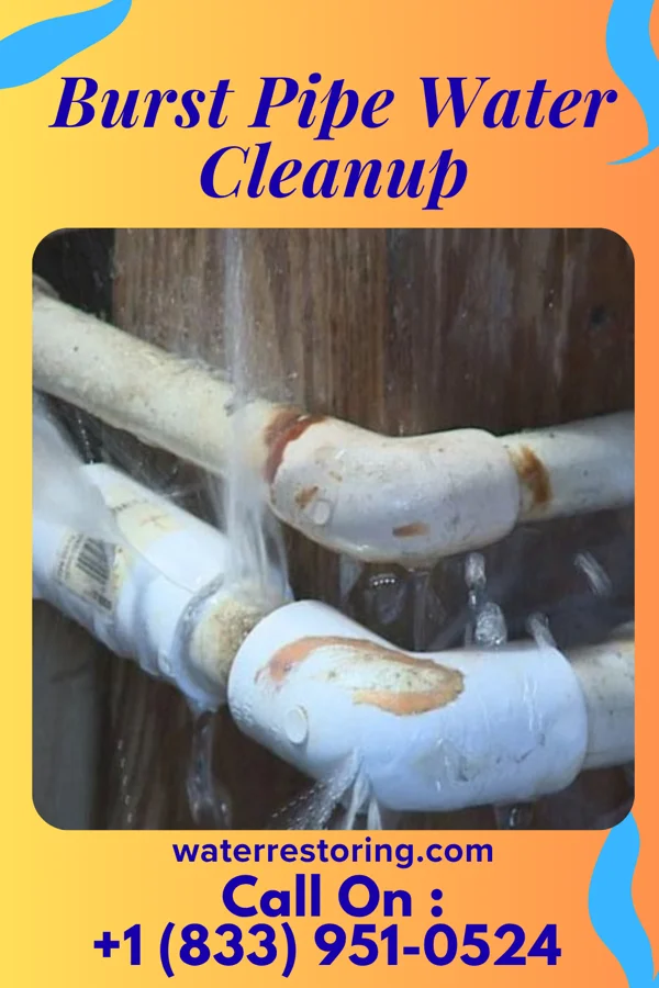 Burst Pipe Water Cleanup in West Manchester, OH
