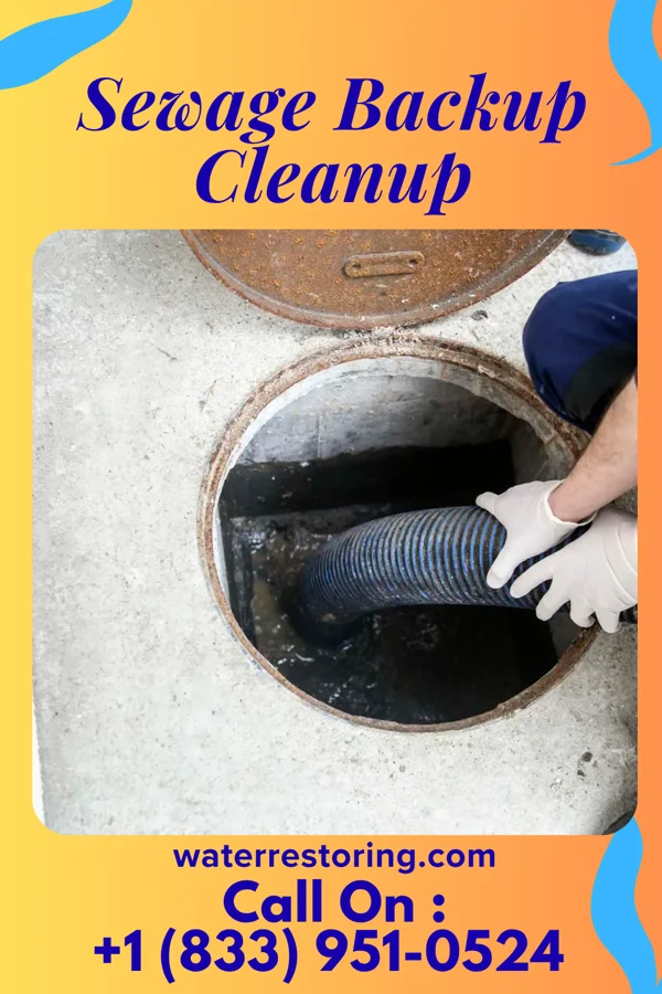 Sewage Backup Cleanup in West Manchester, OH