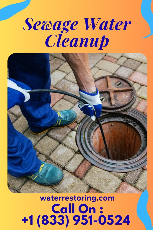 Sewage Water Cleanup in West Manchester, OH