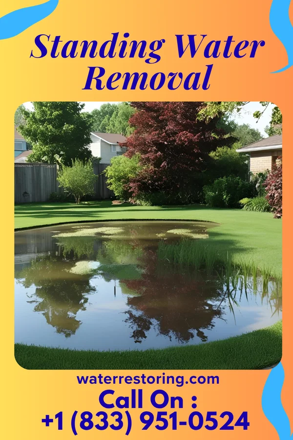 Standing Water Removal in West Manchester, OH